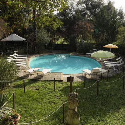 Borgo Dolciano: L'Eau, Plante, Piscine, Ombre, Mobilier De Jardin, Paysage Naturel, Herbe, Arbre, Chaise, Loisir