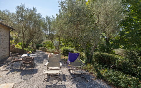 Villa Delle Rose: Plante, Communauté Des Plantes, Chaise, Paysage Naturel, Lot Terre, Arbre, Herbe, Table, Ombre, Mobilier De Jardin