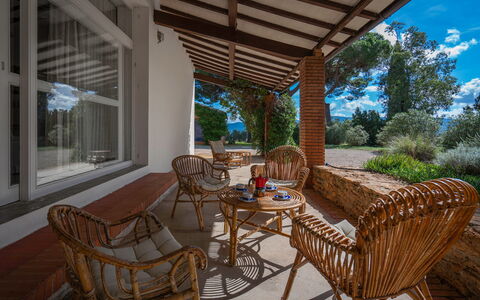 Poggetti San Luigi Country Home Follonica: Plante, Meubles, Table, Propriété, Chaise, Ombre, Mobilier De Jardin, Bois, Ciel, Arbre