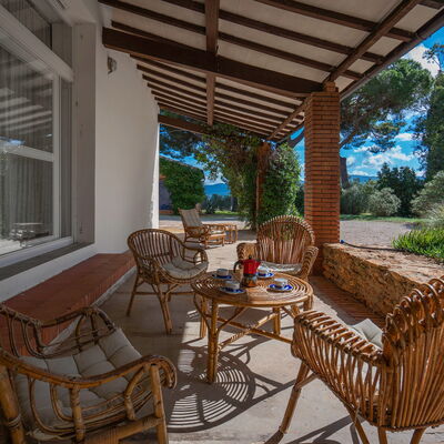 Poggetti San Luigi Country Home Follonica: Plante, Meubles, Table, Propriété, Chaise, Ombre, Mobilier De Jardin, Bois, Ciel, Arbre