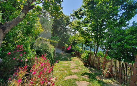La Casa Sul Forte: Fleur, Vert, La Nature, Végétation, Arbuste, Jardin, Printemps, Pétale, Jardin Botanique
