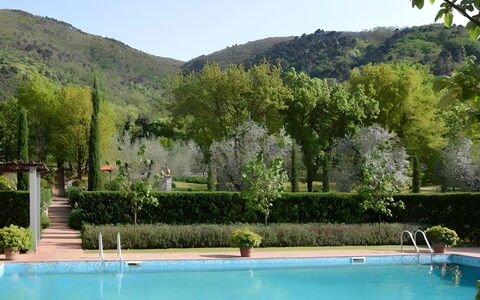 Villa Bongi: Piscine, Arbuste, Jardin, Eco Hôtel, Recours, Hacienda, Biens, Aménagement Paysager, Plantation, À Feuilles Persistantes