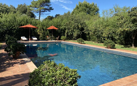 Villa Bongi: Piscine, Recours, Ombre, Jardin, Caractéristique De L'Eau, Loisir, Eco Hôtel, Mobilier De Jardin, Hacienda, Aménagement Paysager