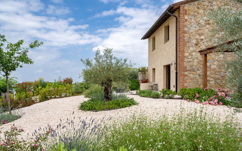 Punteriolo Spereto Family Apartment With Pool,: Fleur, Arbuste, Jardin, Couverture De Sol, Aménagement Paysager, Plante Herbacée, Jardin Botanique, Arrière-Cour, Cour