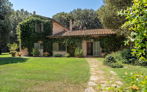 Casale Rosa: Arbre, Feuille, Herbe, Maison, Branche, Domicile, Végétation, Arbuste, Chalet