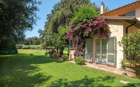 Casale Rosa: Arbuste, Jardin, Maison, Domicile, Communauté Des Plantes, Lot Terre, Couverture De Sol, Pelouse, Printemps