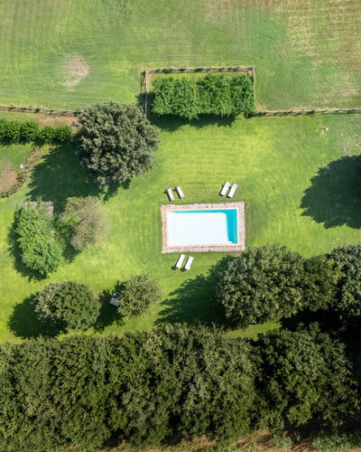 Casale Rosa: Piscine, Jardin, Pelouse, Ombre, Aménagement Paysager, Parc, Cour, Arrière-Cour, Plantation, À Feuilles Persistantes