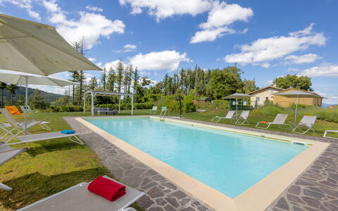 Montelucci Chianti Agrivilla: Nuage, L'Eau, Ciel, Plante, Propriété, Bâtiment, Piscine, Mobilier De Jardin, Design Intérieur, Ombre