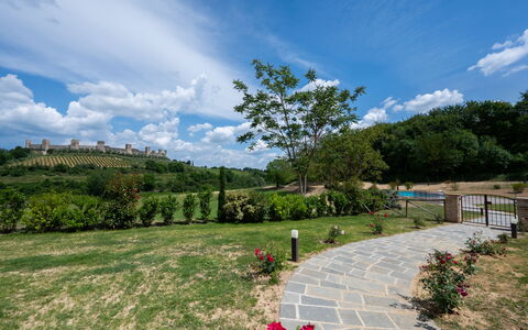 Le Torri, Borgo Campassini, Monteriggioni: Herbe, La Nature, Paysage, Prairie, Arbuste, Lot Terre, Plaine, Jardin, Printemps, Plantation