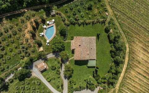 Podere Monti: Paysage, Lot Terre, Zone Rurale, Plaine, Biens, Jardin, Plantation, Pelouse, Aménagement Paysager, Vue Du Ciel