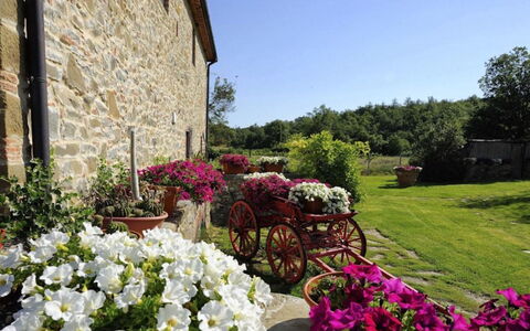 Mulino della Villa: Fleur, Arbuste, Jardin, Rose, Printemps, Aménagement Paysager, Pot De Fleur, Floristique, Cour, Plante D'Appartement