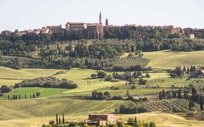 Prugnolo