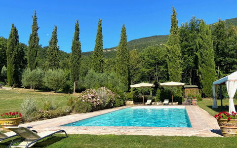 Villa la Felce: Arbuste, Piscine, Jardin, Aménagement Paysager, Recours, Mobilier De Jardin, Ombre, Eco Hôtel, Jardin Botanique