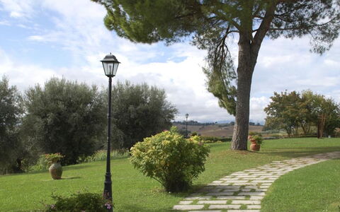 Villa del Lago: Arbre, Feuille, Arbuste, Jardin, Tronc, Pelouse, Suppression Des Plantes Ligneuses, Ombre, Aménagement Paysager