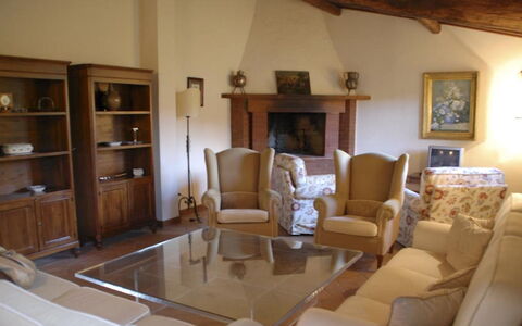 Magnolia e Camelia: Meubles, Design Intérieur, Sol, Bois, Pièce, Sol, Salon, Table, Chaise, Canapé