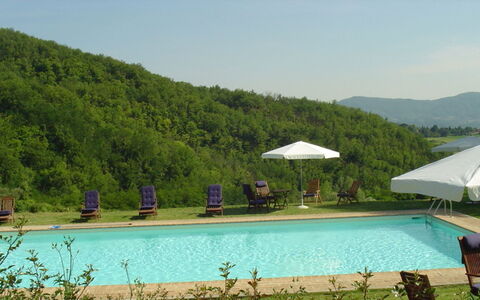 Magnolia e Camelia: Piscine, Mobilier De Jardin, Loisir, Recours, Eco Hôtel, Station De Montagne, Balancelle, Ville Resort, Parapluie, Aménagement Paysager