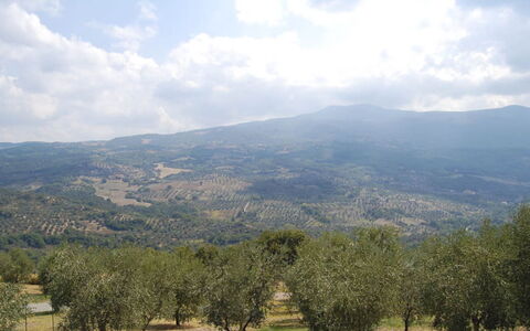Poggio Aperto: Montagnes Relief, Montagne, Colline, Végétation, Montagnes, Paysage Naturel, Écorégion, Paysage, Station De Montagne, Communauté Des Plantes