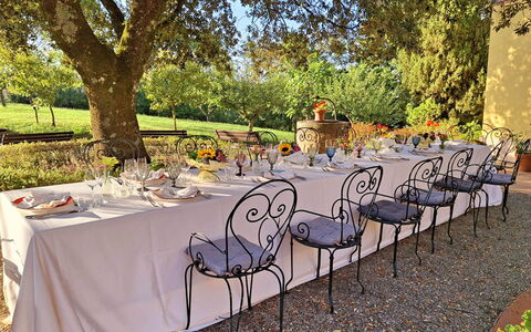 La Palazzina: Meubles, Table, Nappe De Table, Chaise, Tableau De Plein Air, Jardin, Mobilier De Jardin, Linge, Restaurant