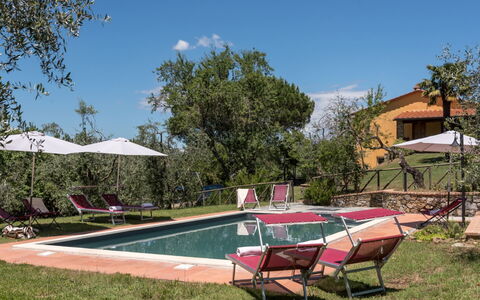 Bellaria: Biens, Hacienda, Arrière-Cour, Mobilier De Jardin, Villa, Jardin, Ferme, Cour, Piscine, Aménagement Paysager