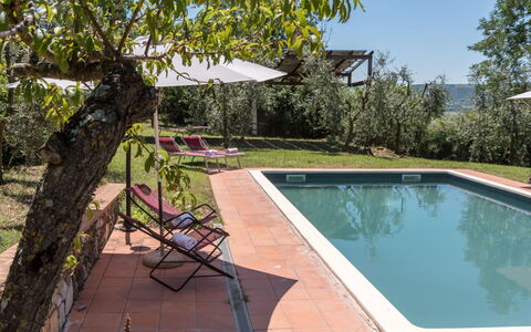 Bellaria: Piscine, Hacienda, Biens, Jardin, Cour, Ombre, Villa, Arrière-Cour, Ferme, Aménagement Paysager