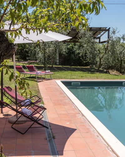 Bellaria: Piscine, Hacienda, Biens, Jardin, Cour, Ombre, Villa, Arrière-Cour, Ferme, Aménagement Paysager