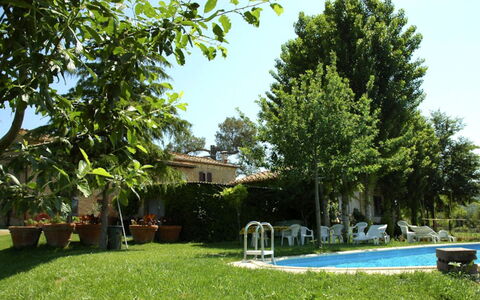 Casalunga: Jardin, Arrière-Cour, Pelouse, Ombre, Mobilier De Jardin, Cour, Chaise, Hacienda, Biens, Aménagement Paysager