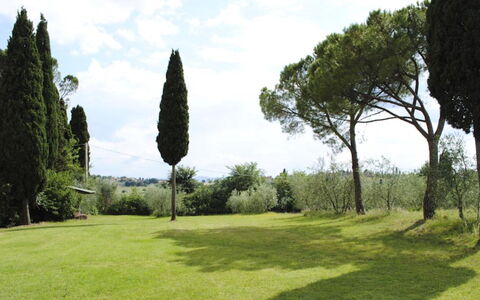Villa Il Poggio: Herbe, Arbre, Feuille, Branche, Arbuste, Lot Terre, Prairie, Plaine, Tronc