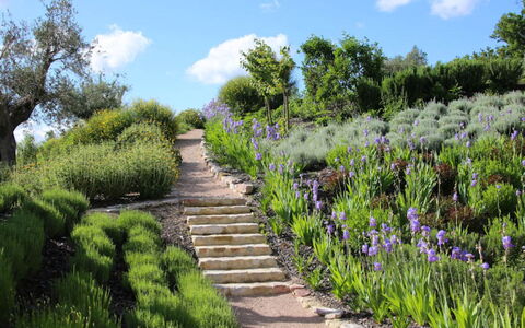 Villa del Cammino: Végétation, Arbuste, Jardin, Paysage, Communauté Des Plantes, Couverture De Sol, Printemps, Jardin Botanique, Piste