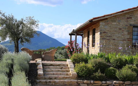 Villa del Cammino: Mur, Arbuste, Paysage, Zone Rurale, Chalet, Communauté Des Plantes, Lot Terre, Mur De Pierre, Jardin
