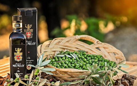 Villa Santa: Bouteille, Du Vin, Bouteille En Verre, Aliments, Produire, Aliments Naturels