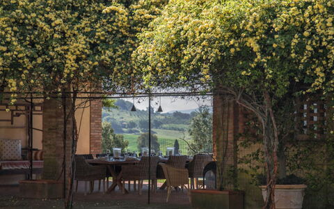 Villa Moscato: Jardin, Ombre, Plante D'Appartement, Arrière-Cour, Pot De Fleur