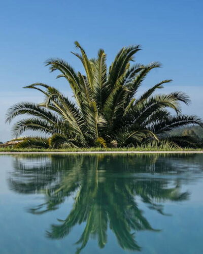Villa Moscato: Bleu, L'Eau, Plan D'Eau, Réflexion, Lac, Piscine, Réservoir, Tropiques, Miroir D'Eau