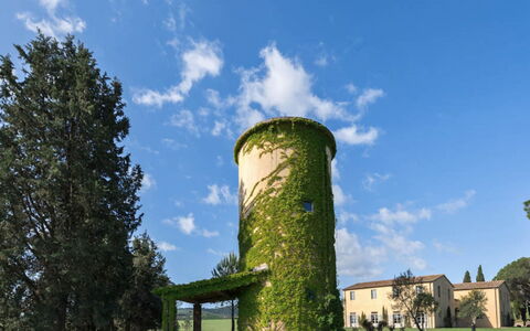 Villa Il Serraglio: Herbe, Arbuste, Lot Terre, Champ, Jardin, Pelouse, Prairie, Aménagement Paysager, Biens, Plantation