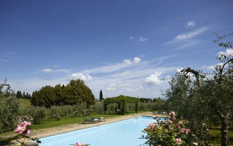 Villa del Riccio: Arbuste, Jardin, Biens, Aménagement Paysager, Hacienda, Villa, Piscine, Plantation, Cour, Ferme