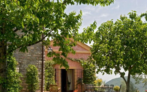 Villa Savino: Feuille, Arbuste, Printemps, Jardin, Ombre, Plantation