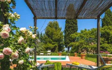 Podere Contignano: Arbuste, Jardin, Printemps, Aménagement Paysager, Ombre, Arrière-Cour, Cour, Eco Hôtel, Hacienda, Jardin Botanique