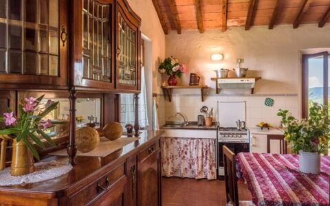 Podere del Mezzadro: Meubles, Bois, Design Intérieur, Sol, Table, Domicile, Cabinetry, Table Cuisine Et Salle A Manger, Pièce, Cuisine