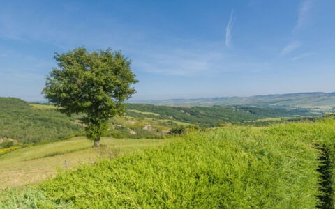 Podere del Mezzadro: Vert, Environnement Naturel, Herbe, La Nature, Prairie, Paysage Naturel, Végétation, Colline, Paysage, Écorégion
