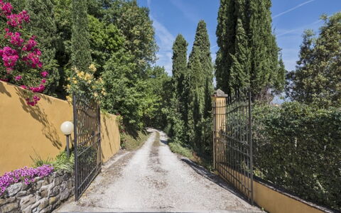 Villa Lucente: Feuille, Végétation, Arbuste, Jardin, Aménagement Paysager, Allée, À Feuilles Persistantes, Piste, Mélèze