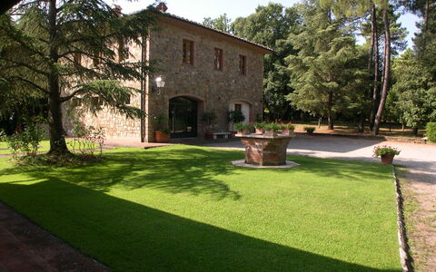 Villa Antonella: Arbuste, Jardin, Pelouse, Hacienda, Cour, Ombre, Aménagement Paysager, Arrière-Cour, Biens, Allée