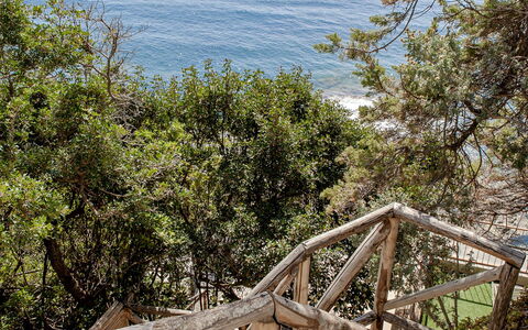 Vistamare: Bois, Balustrade, Mer, Côte, Cotiers Et Relief Océaniques, Océan, Escaliers, Rive, Clôture, Tropiques