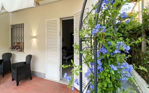 Casa Liliana Ac, Wifi, Forte Dei Marmi: Pot De Fleur, Plante D'Appartement, Ombre, Mobilier De Jardin, Chaise, Accueil Porte, Porche, Tableau De Plein Air, Balcon, Cour