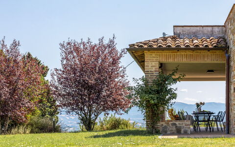 Il Pino Apartment: Paysage Naturel, Arbuste, Colline, Lot Terre, Prairie, Jardin, Vallée, Aménagement Paysager, Crête