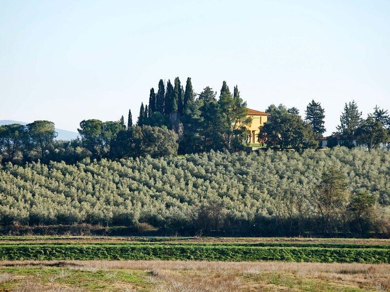 Poggio Cavallino Private Pool, Wifi, Maremma