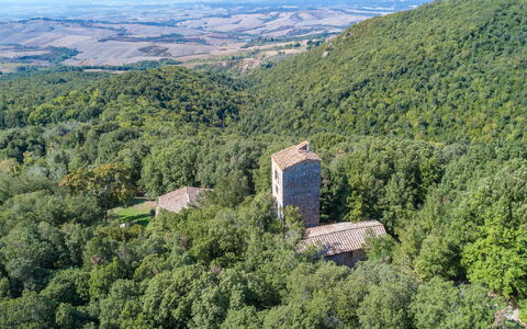 Villa Linchiano: Environnement Naturel, La Nature, Paysage, Forêt, Jungle, Ruines, Château, Valdivienne Forêt Tropicale Tempérée