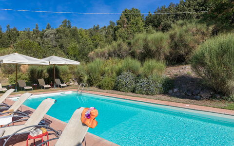 Villa Belvedere: Piscine, Recours, Mobilier De Jardin, Balancelle, Eco Hôtel, Aménagement Paysager, Thermes, Hôtel, Hacienda, Chaise Longue