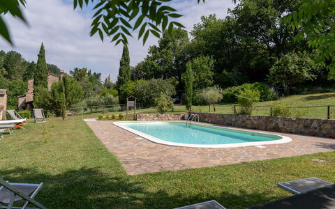 Montaione Country House Amarrante, Pool, Ac: Arbuste, Piscine, Jardin, Arrière-Cour, Ombre, Pelouse, Aménagement Paysager, Biens, Cour, Ferme