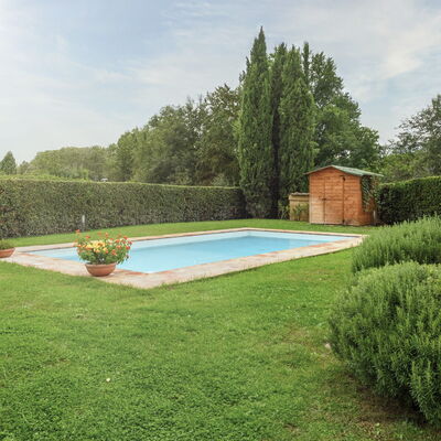 Villa Zambra: Piscine, Arbuste, Jardin, Pelouse, Aménagement Paysager, Haie, Arrière-Cour, Ombre, Cour, Conception