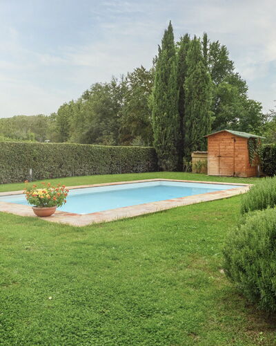Villa Zambra: Piscine, Arbuste, Jardin, Pelouse, Aménagement Paysager, Haie, Arrière-Cour, Ombre, Cour, Conception