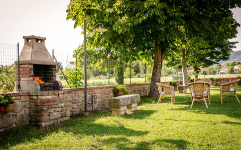 Villa Gelsi: Jardin, Pelouse, Ombre, Mobilier De Jardin, Cour, Aménagement Paysager, Arrière-Cour, Parc, Chaise, Eco Hôtel